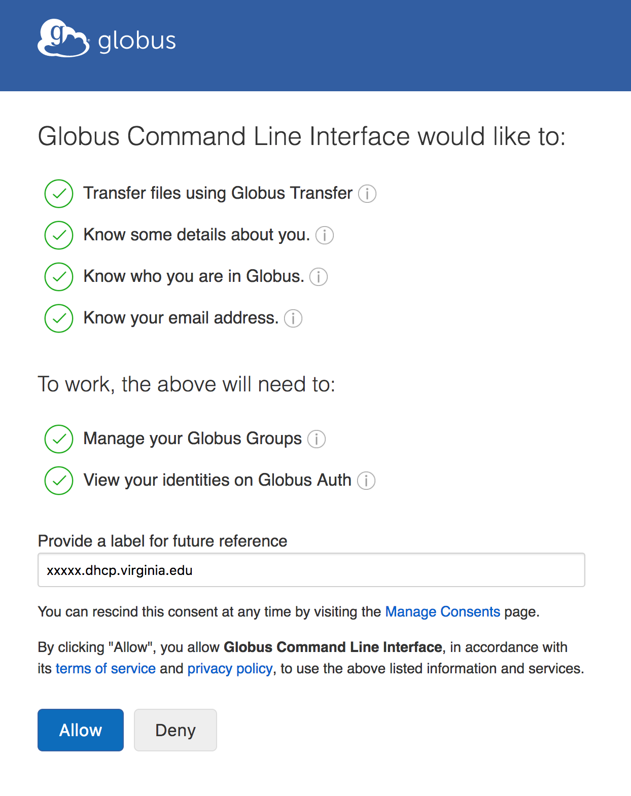 Globus CLI authentication